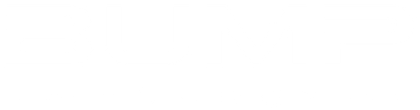 BUMP ENERGY